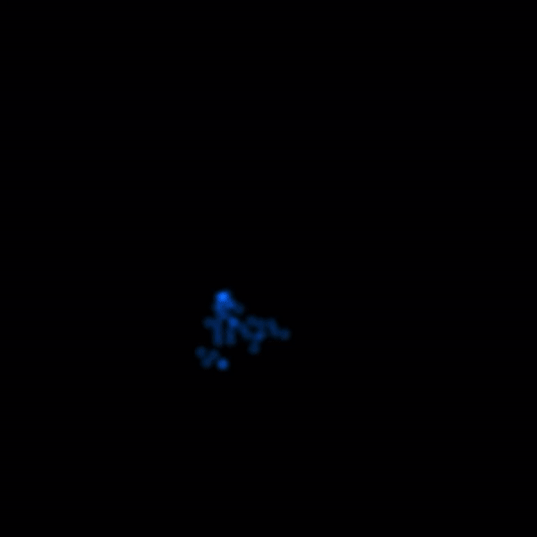 7E107F64-A563-4CEB-9819-4C8295CE541A.gif